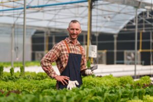 Pre-Empt vs Traditional Organic Fertilizers: What Makes It Different (and More Effective)