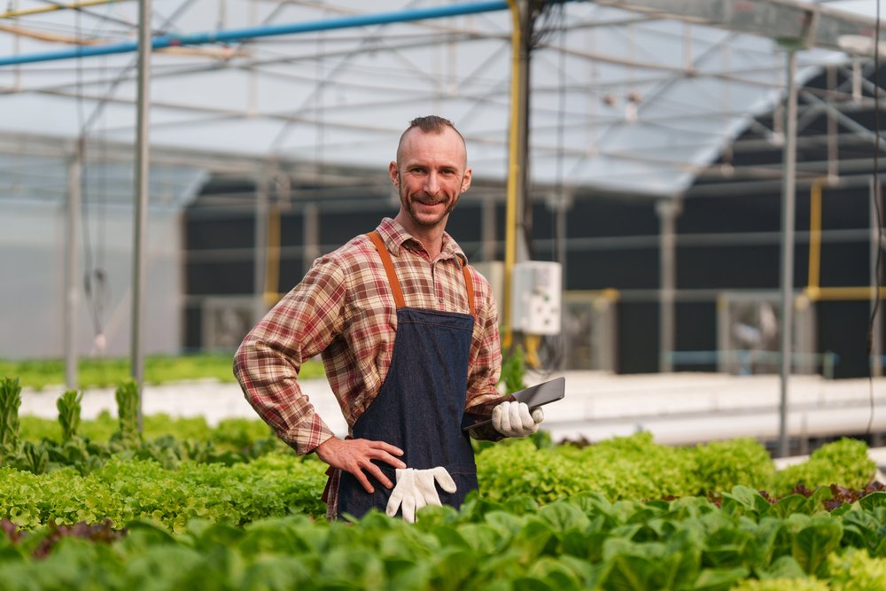 You are currently viewing Pre-Empt vs Traditional Organic Fertilizers: What Makes It Different (and More Effective)