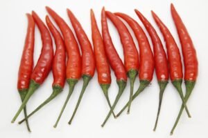 Boost Your Small Farm with Liquid Organic Fertilizer