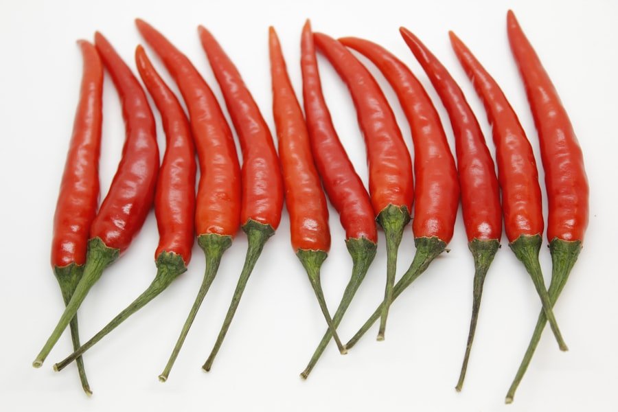 You are currently viewing Boost Your Small Farm with Liquid Organic Fertilizer