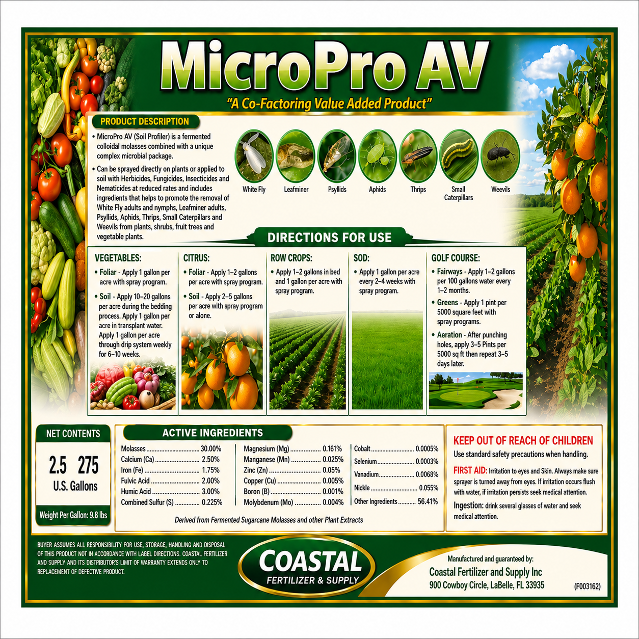 MicroPro AV Label